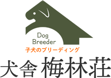 犬舎 梅林荘｜岡山県の高見ブリーダー